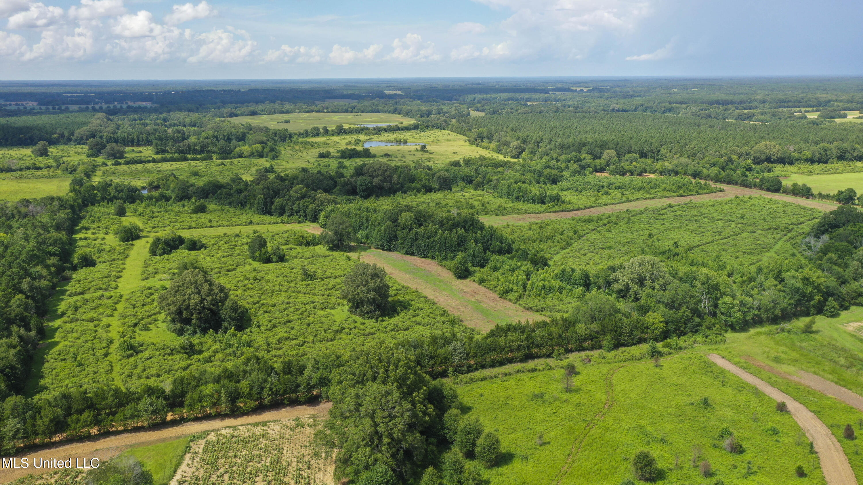 Middleton Road Flora, MS 39071 - Photo 5 of 10 Flora Lots