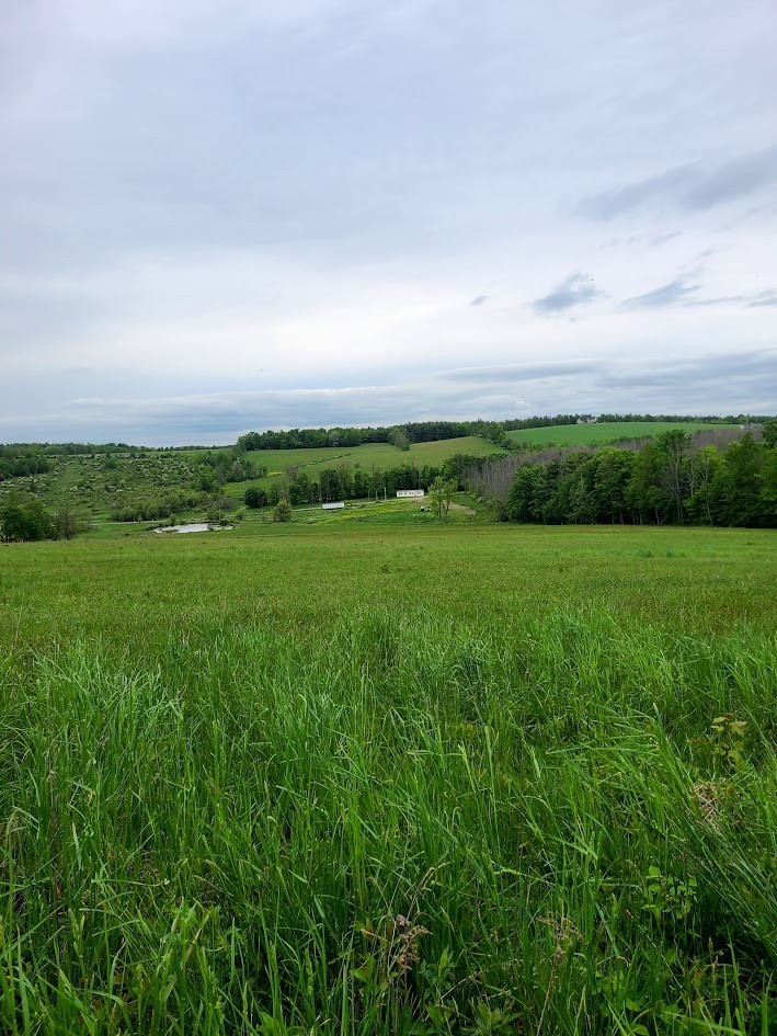 10815 Church Creek Road Caton, NY 14858 - Photo 3 of 22