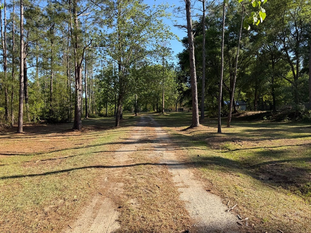 5351 Coppage Road Hahira, GA 31632 - Photo 15 of 33 Gallery Image 15