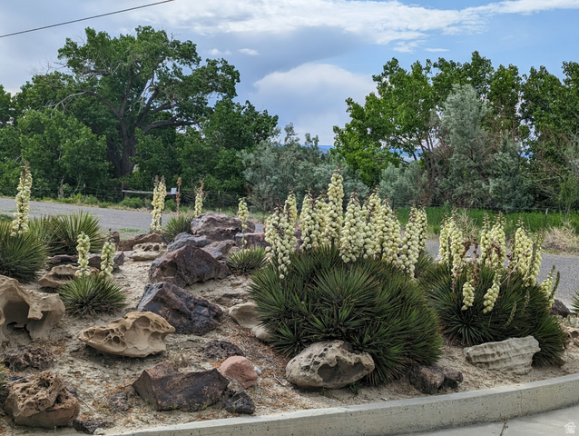 1040 West Mill Road Ferron, UT 84523 - Photo 85 of 117 Xeriscape garden featuring blooming yucca plants, various natural rock formations, and mature trees in the background