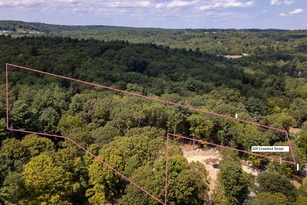 a view of a forest with a forest