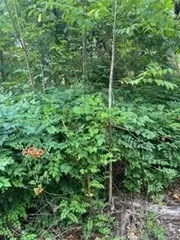 $640,000 | 329 Crawford Street, Northborough, MA 01532