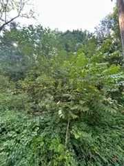 $640,000 | 329 Crawford Street, Northborough, MA 01532