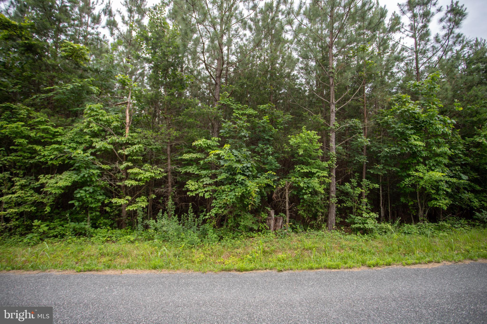 Tbd Trents Cemetery Road, Unit LOT 6 Phenix, VA 23959 - Photo 4 of 19