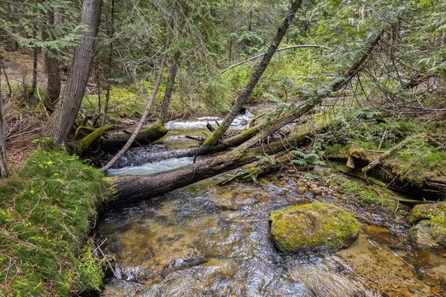 $295,000 | 2017 Clugston-Onion Crk Road, Colville, WA 99114