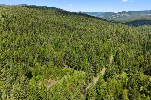 $295,000 | 2017 Clugston-Onion Crk Road, Colville, WA 99114