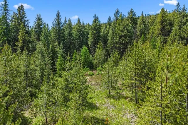 $295,000 | 2017 Clugston-Onion Crk Road, Colville, WA 99114