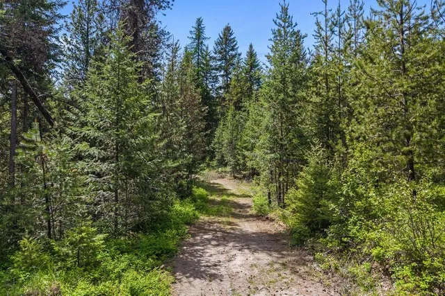 $295,000 | 2017 Clugston-Onion Crk Road, Colville, WA 99114