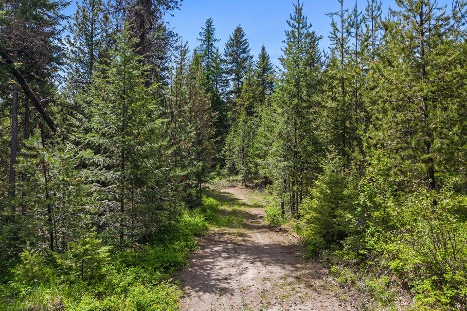 2017 Clugston-Onion Crk Road Colville, WA 99114 - Photo 42 of 50