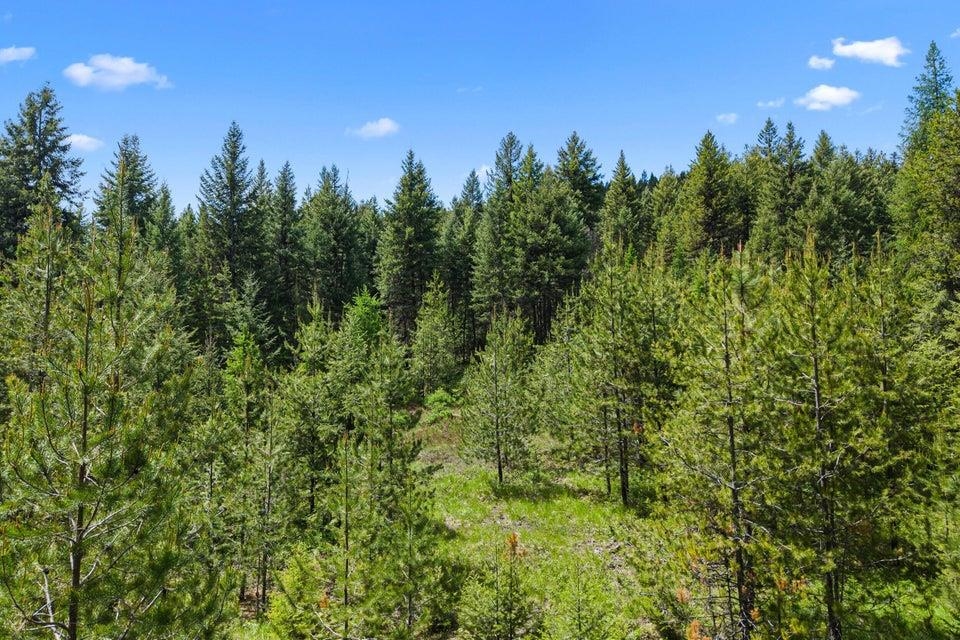 2017 Clugston-Onion Crk Road Colville, WA 99114 - Photo 46 of 50