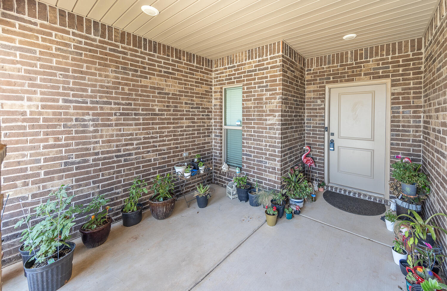 7334 29th Street Lubbock, TX 79407 - Photo 31 of 31 a potted plant sitting in front of a house