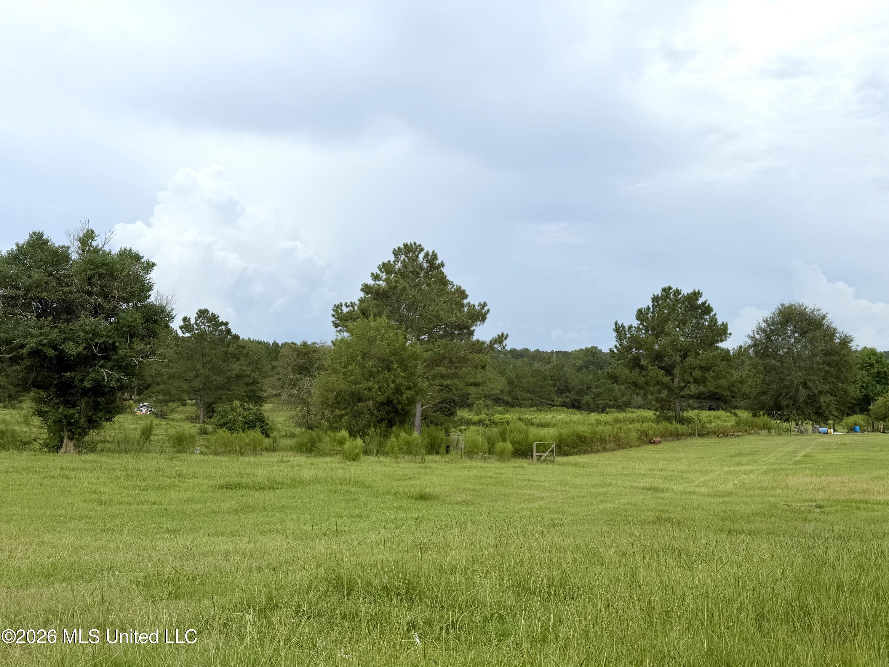 3651 Ruth Drive Southeast Ruth, MS 39662 - Photo 31 of 34 IMG_4066