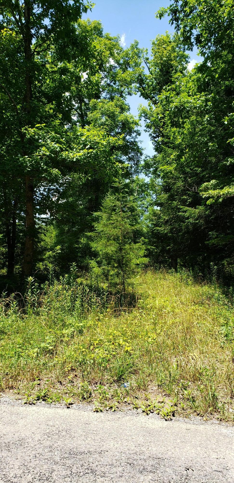 0 Barker Camp Road Dunlap, TN 37327 - Photo 8 of 8