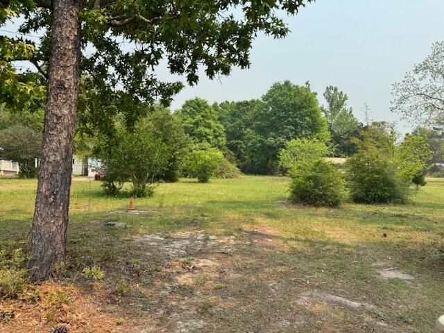49-acre Bethany Drive Crestview, FL 32539 - Photo 2 of 3 a view of outdoor space and yard
