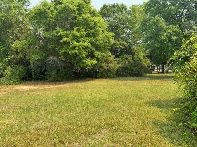 49-acre Bethany Drive Crestview, FL 32539 - Photo 3 of 3 a view of a large yard with a large tree