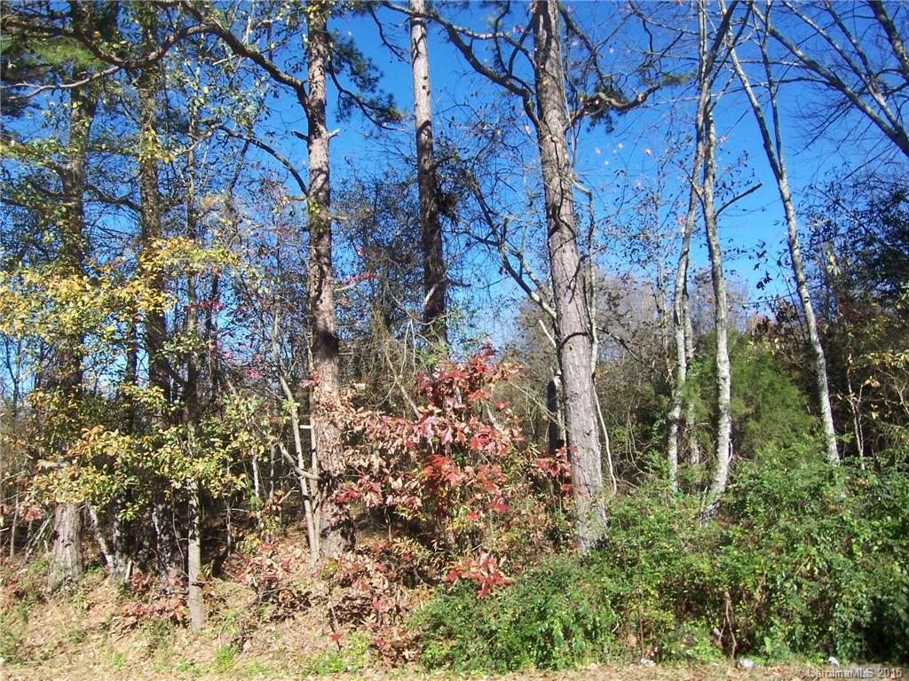 128 Jim Cline Road Lawndale, NC 28090 - Photo 3 of 4 a backyard of a house with lots of green space