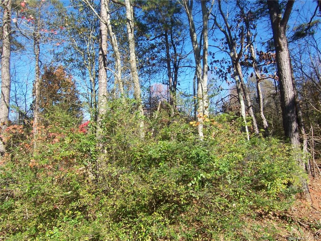 128 Jim Cline Road Lawndale, NC 28090 - Photo 4 of 4 a view of a yard with plants and large trees