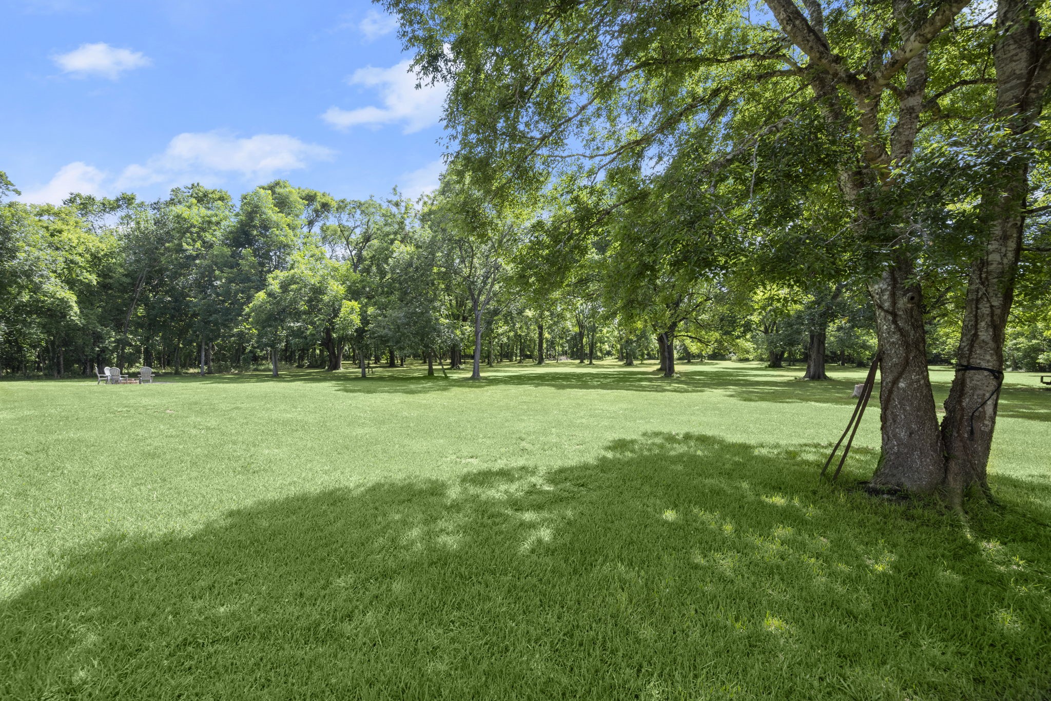 5298 Circle View Montgomery, TX 77316 - Photo 31 of 36