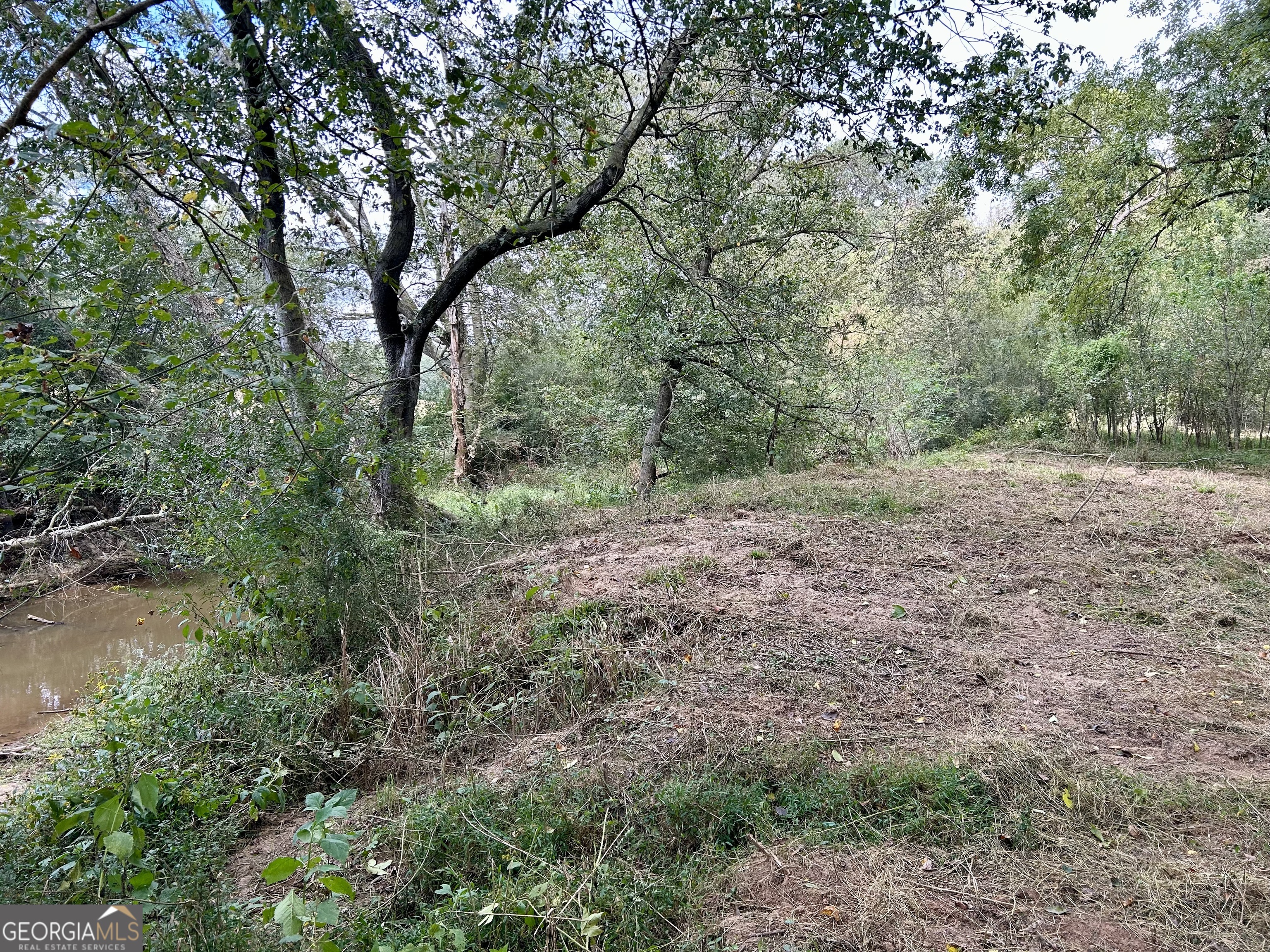 1398 Vanna Road Royston, GA 30662 - Photo 27 of 58