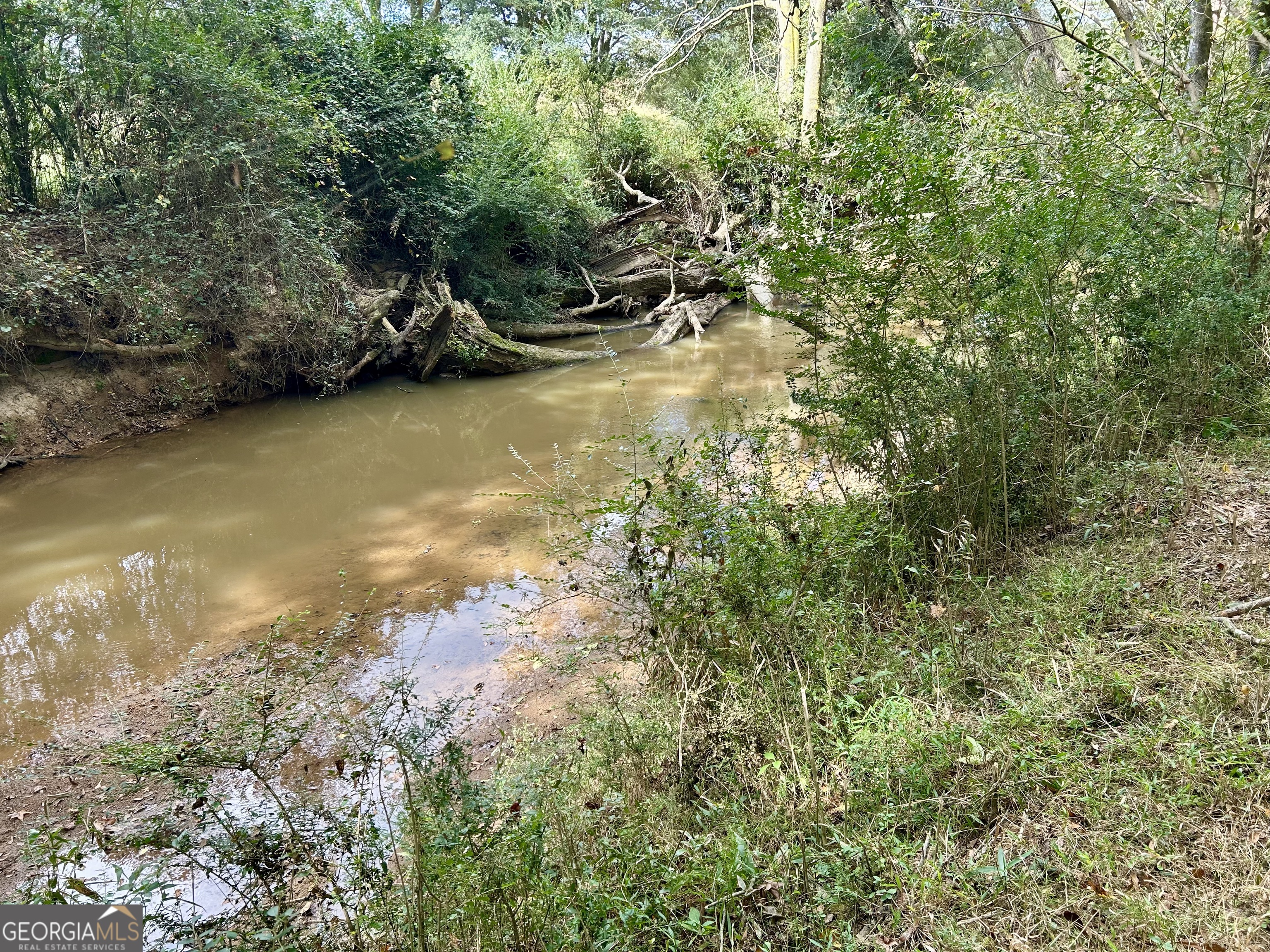 1398 Vanna Road Royston, GA 30662 - Photo 28 of 58