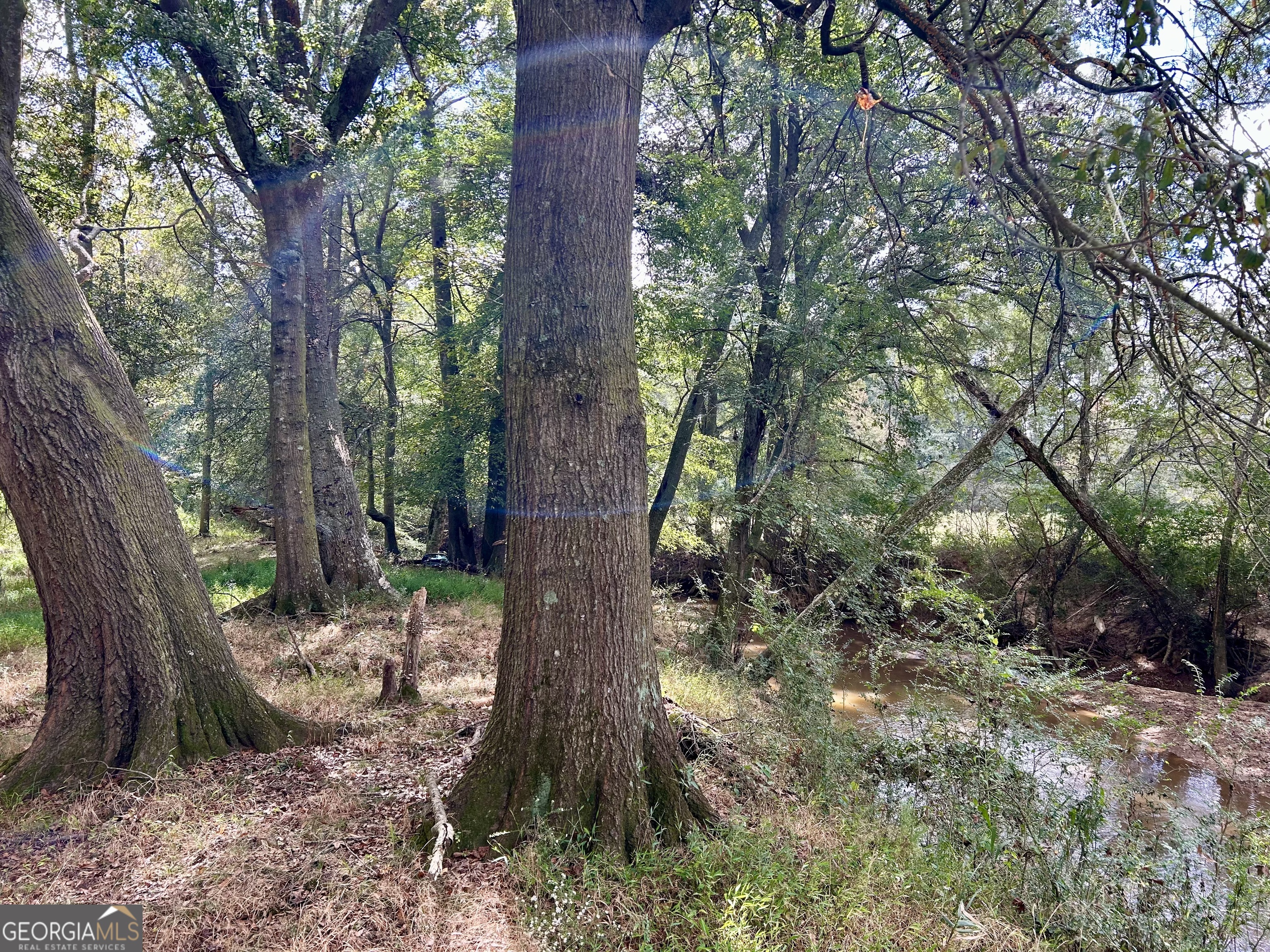 1398 Vanna Road Royston, GA 30662 - Photo 29 of 58