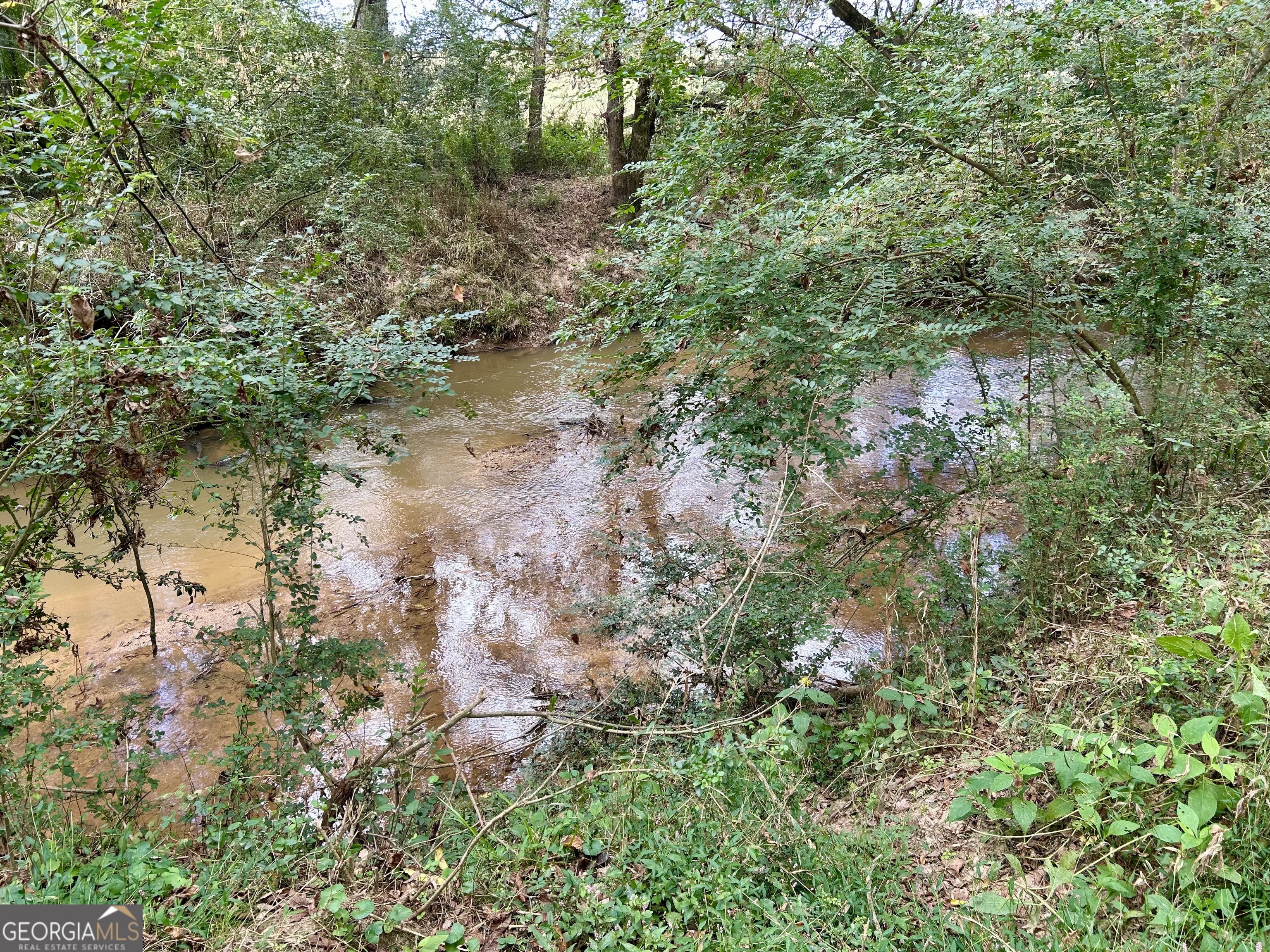 1398 Vanna Road Royston, GA 30662 - Photo 31 of 58