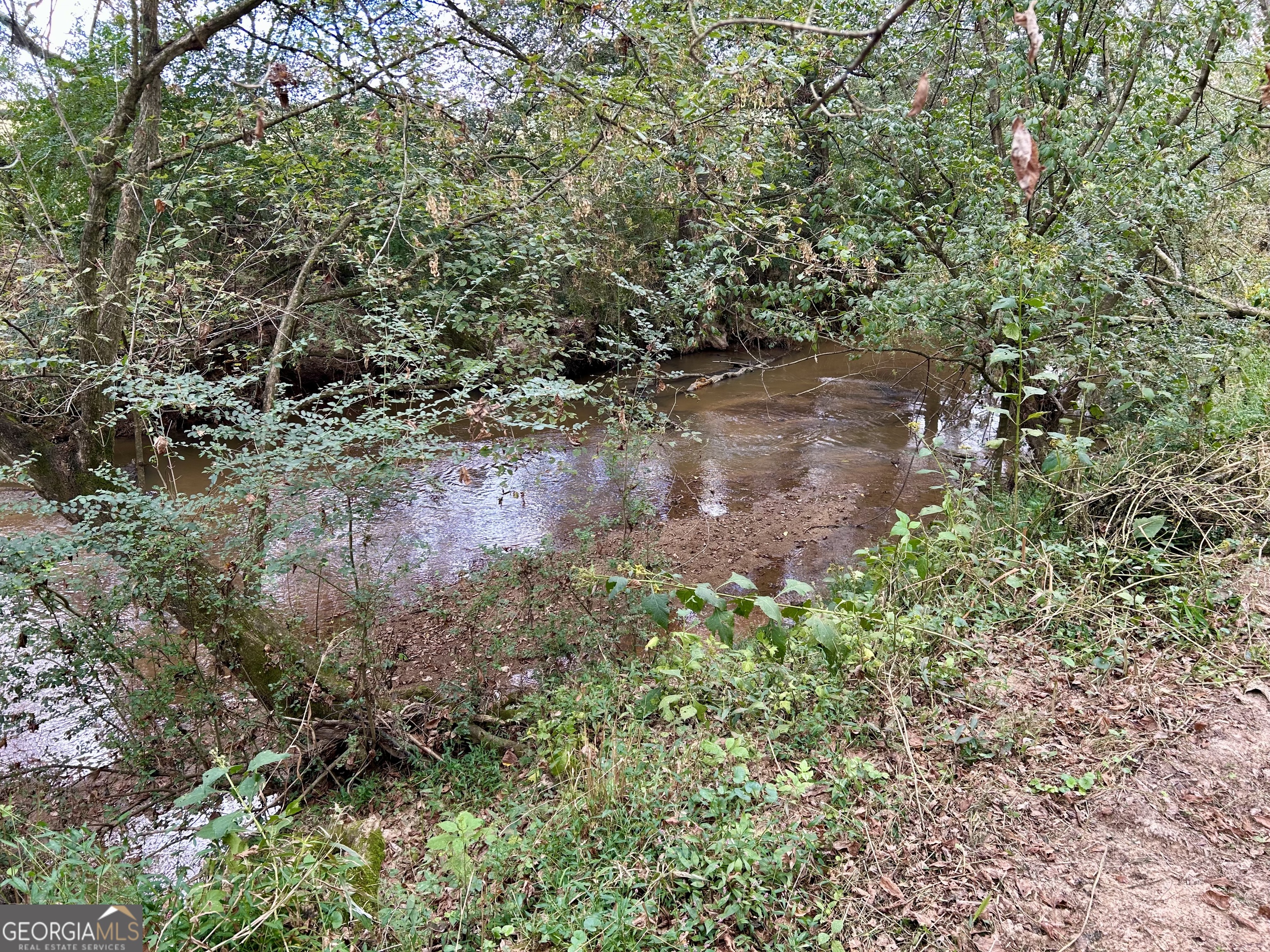 1398 Vanna Road Royston, GA 30662 - Photo 32 of 58