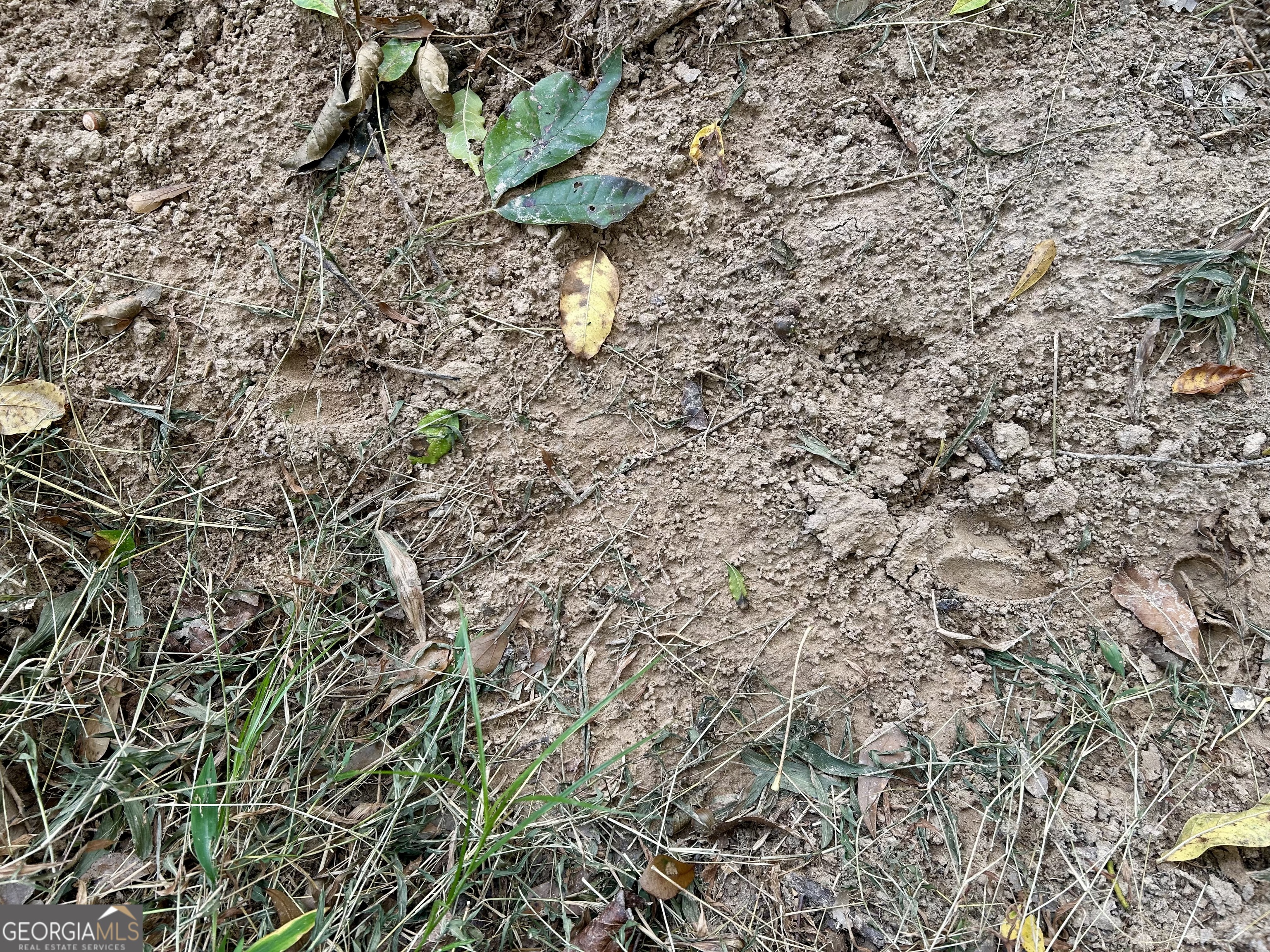 1398 Vanna Road Royston, GA 30662 - Photo 33 of 58