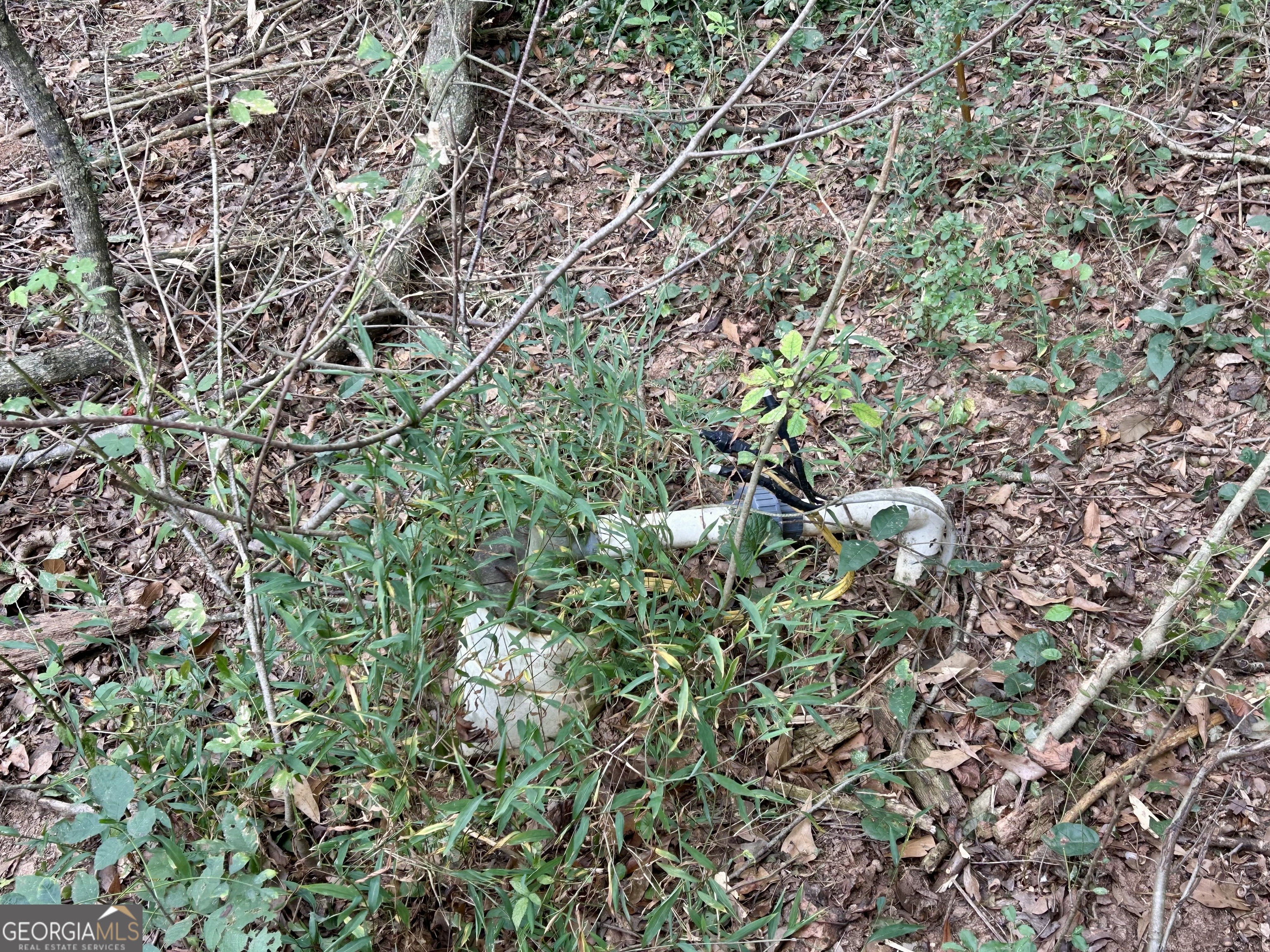 1398 Vanna Road Royston, GA 30662 - Photo 34 of 58