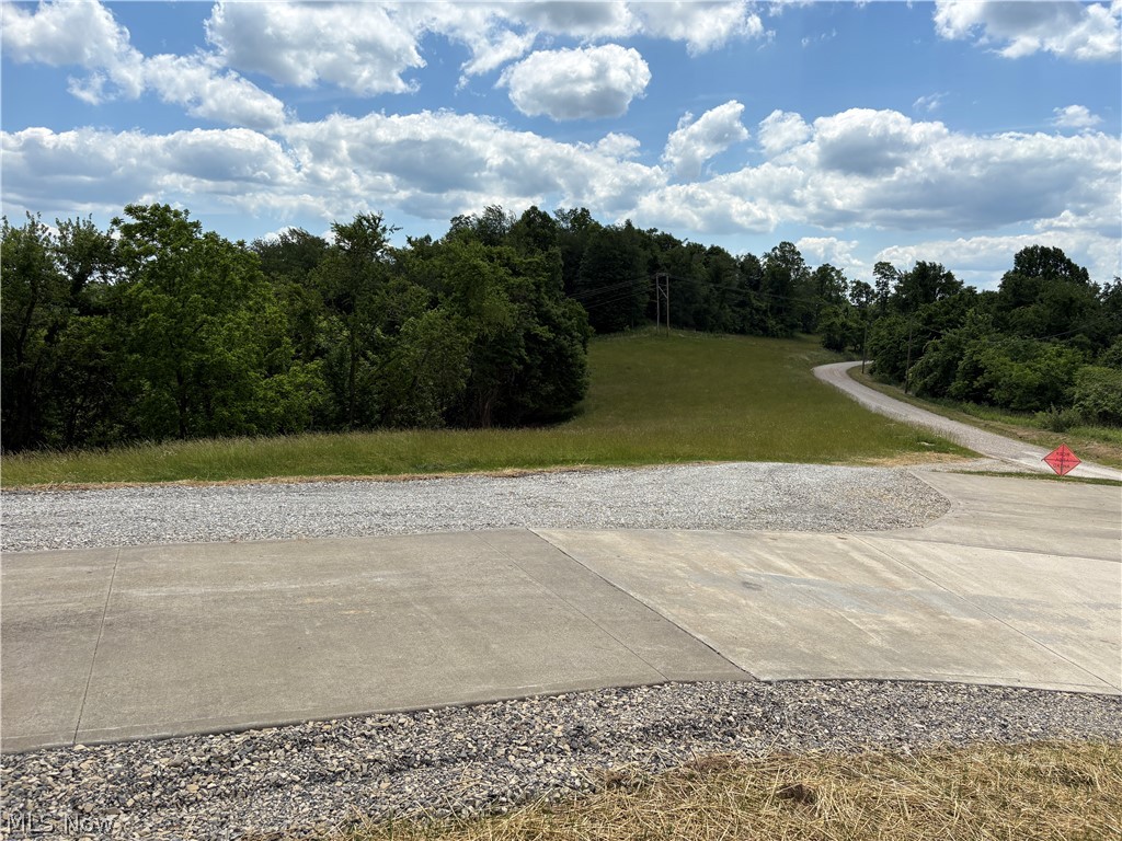 49628 Cain Ridge Road Clarington, OH 43915 - Photo 5 of 50