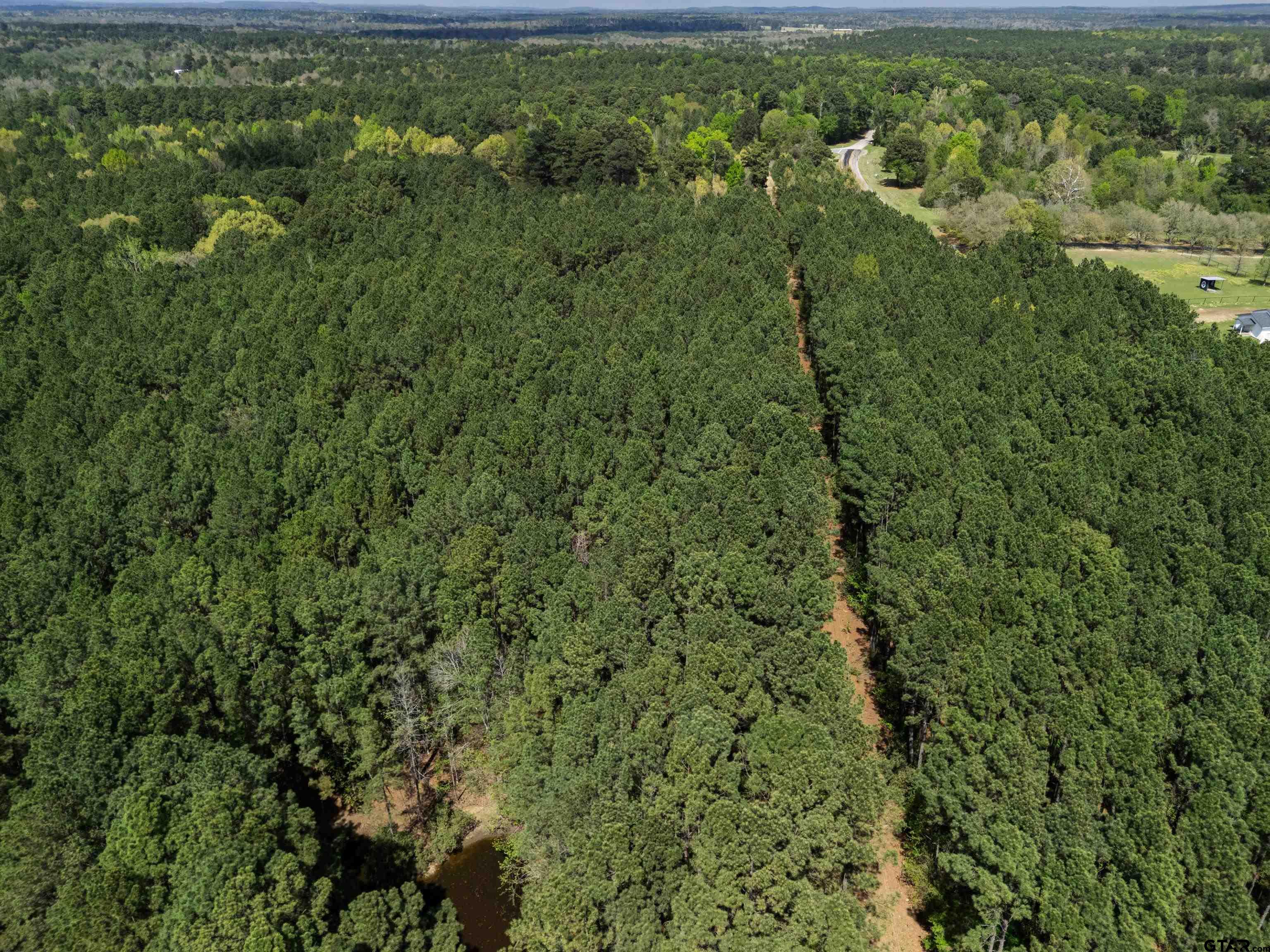 3327 Fm 2751 Longview, TX 75605 - Photo 21 of 28 a view of a city with lush green forest