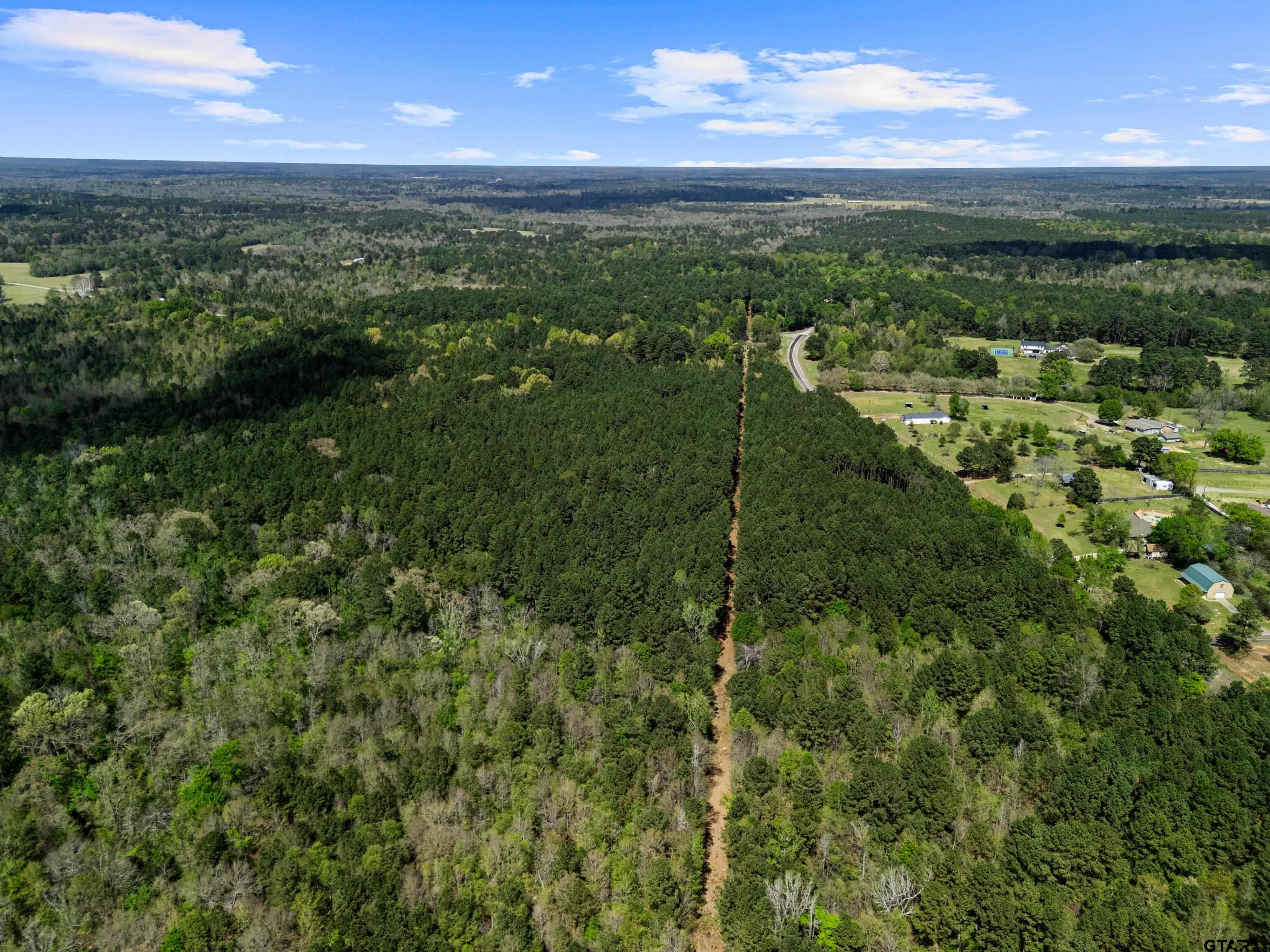 3327 Fm 2751 Longview, TX 75605 - Photo 22 of 28 a view of a green field with lots of trees in it