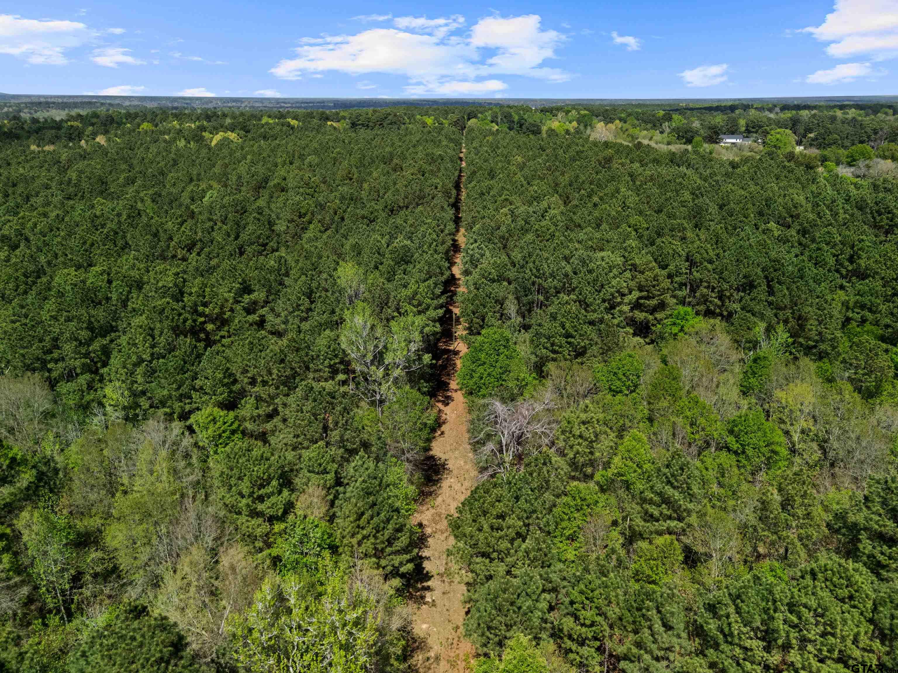 3327 Fm 2751 Longview, TX 75605 - Photo 23 of 28 a view of a green yard