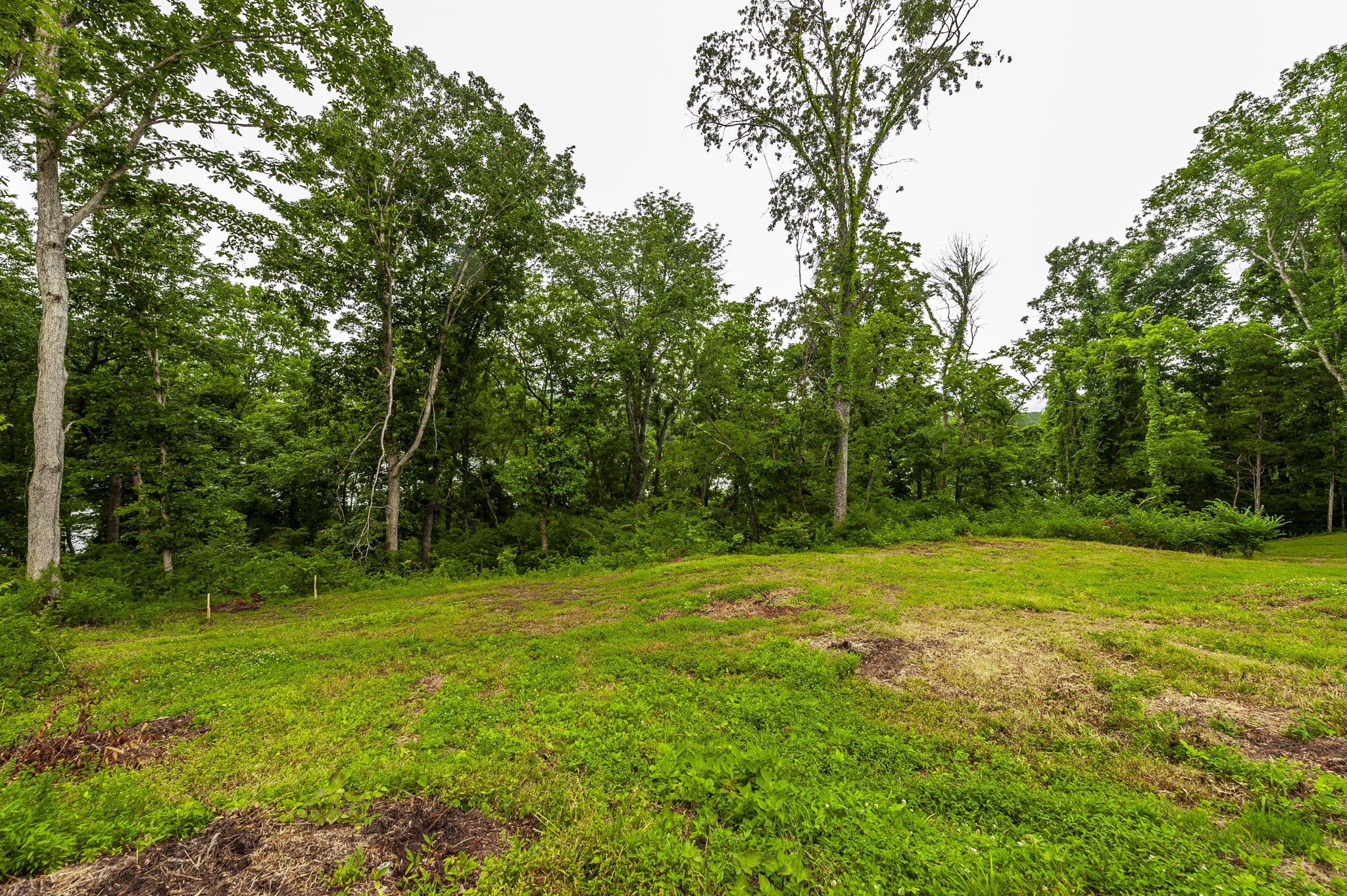 1113 East Robertson Road Castalian Springs, TN 37031 - Photo 39 of 56