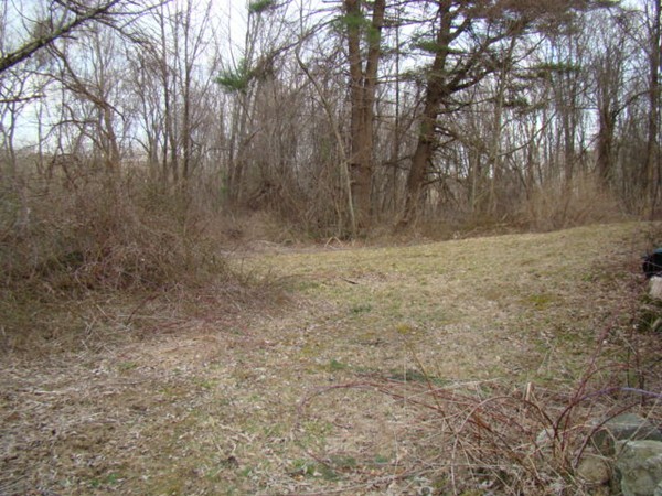 255 Putnam Hill Road Sutton, MA 01590 - Photo 3 of 6 a view of a yard with trees