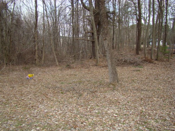 255 Putnam Hill Road Sutton, MA 01590 - Photo 5 of 6 a backyard of a house with lots of green space