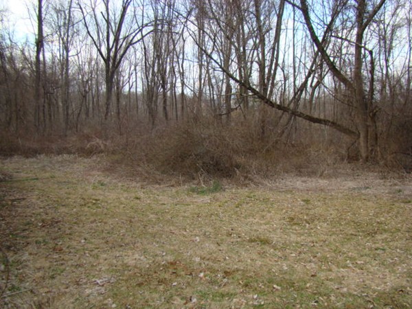 255 Putnam Hill Road Sutton, MA 01590 - Photo 6 of 6 a view of backyard with green space