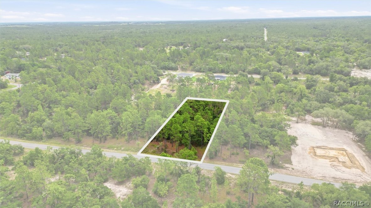 0 Southwest Sands Point Avenue Dunnellon, FL 34431 - Photo 1 of 6