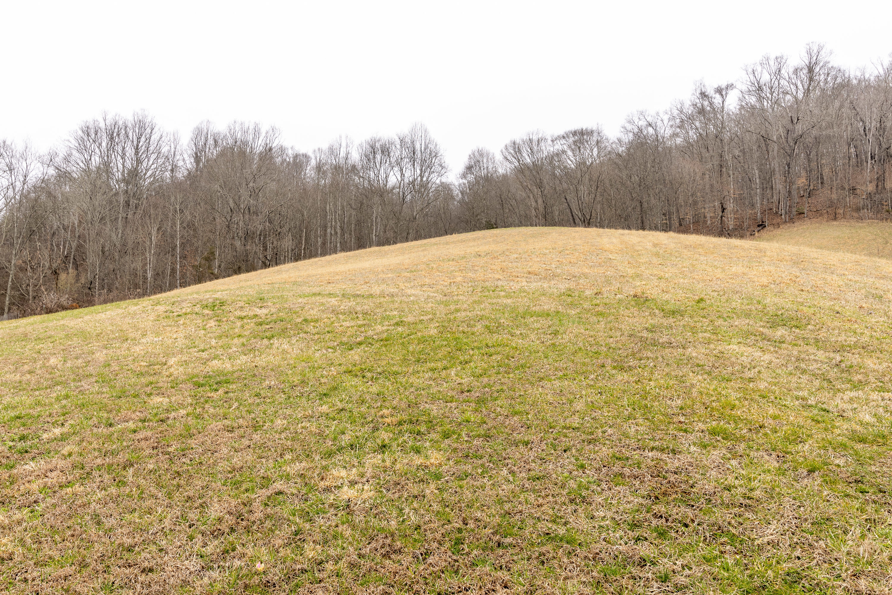 19435 Rich Valley Road Abingdon, VA 24210 - Photo 35 of 40 19435-Rich-Valley-Rd-Abingdon-VA Highlan