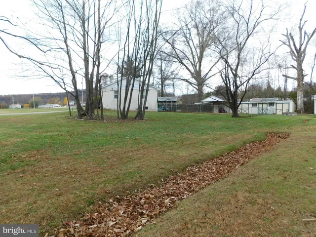 a view of a park with large trees