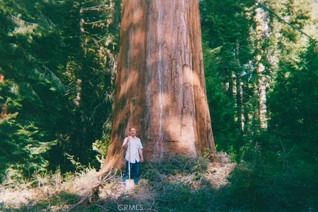 an aerial view of a residential houses with yard