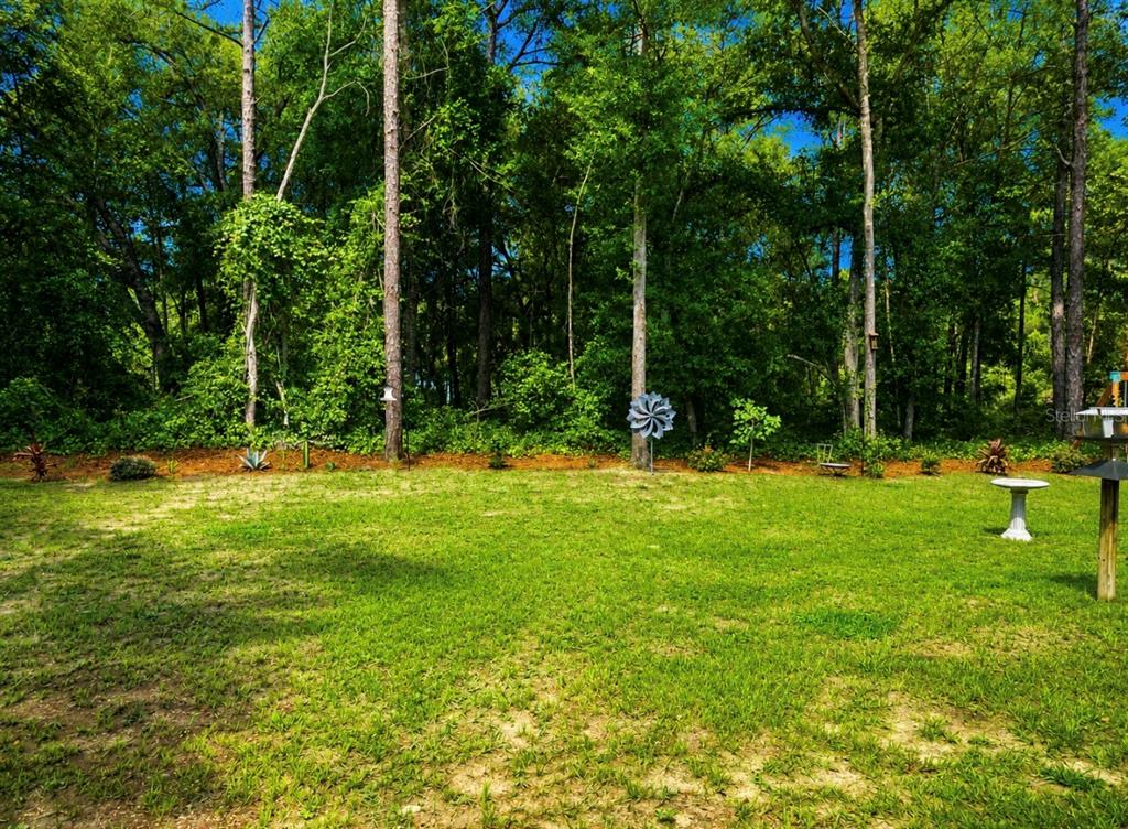 10065 North Langdon Road Citrus Springs, FL 34434 - Photo 8 of 8