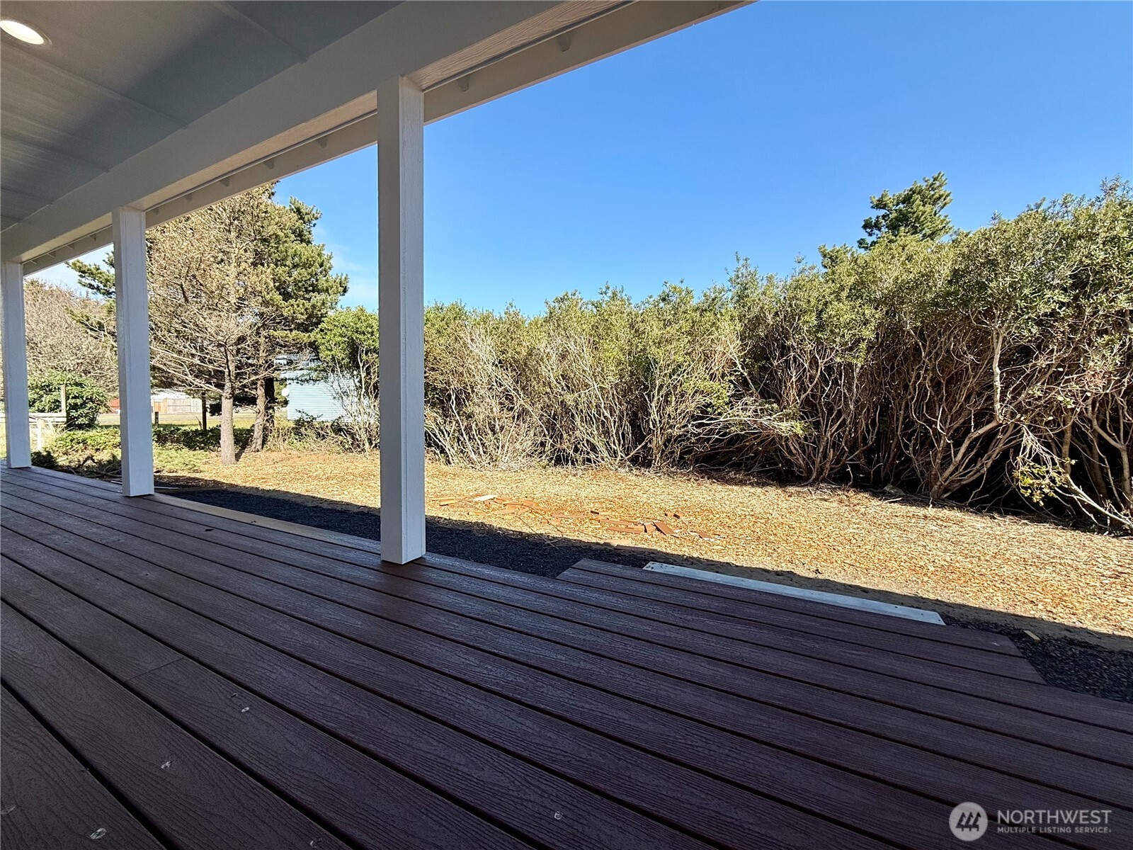 716 Reporter Court Southwest Ocean Shores, WA 98569 - Photo 19 of 36 a view of yard from deck