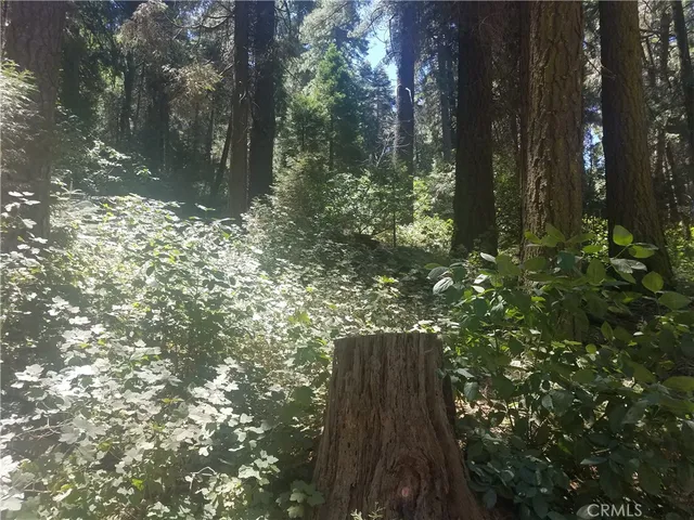 $20,000 | 342 Ballenger Cedarpines Park, Cedarpines Park, CA 92322