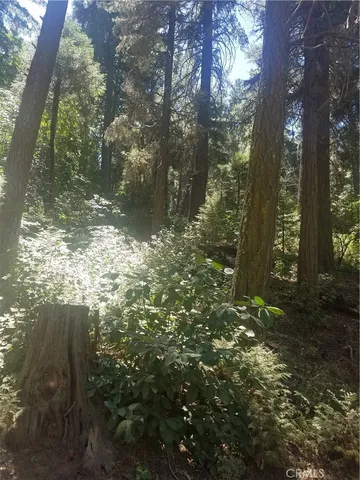 $20,000 | 342 Ballenger Cedarpines Park, Cedarpines Park, CA 92322