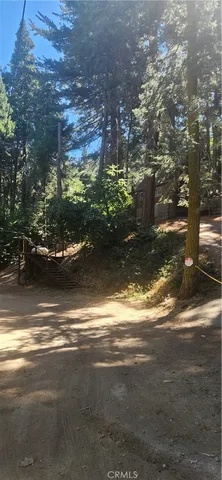 a close up of a tree