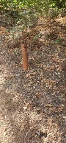 a view of a tree in the background