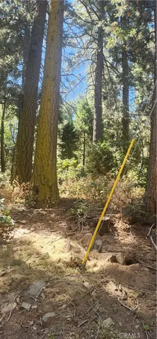 a view of a street with trees