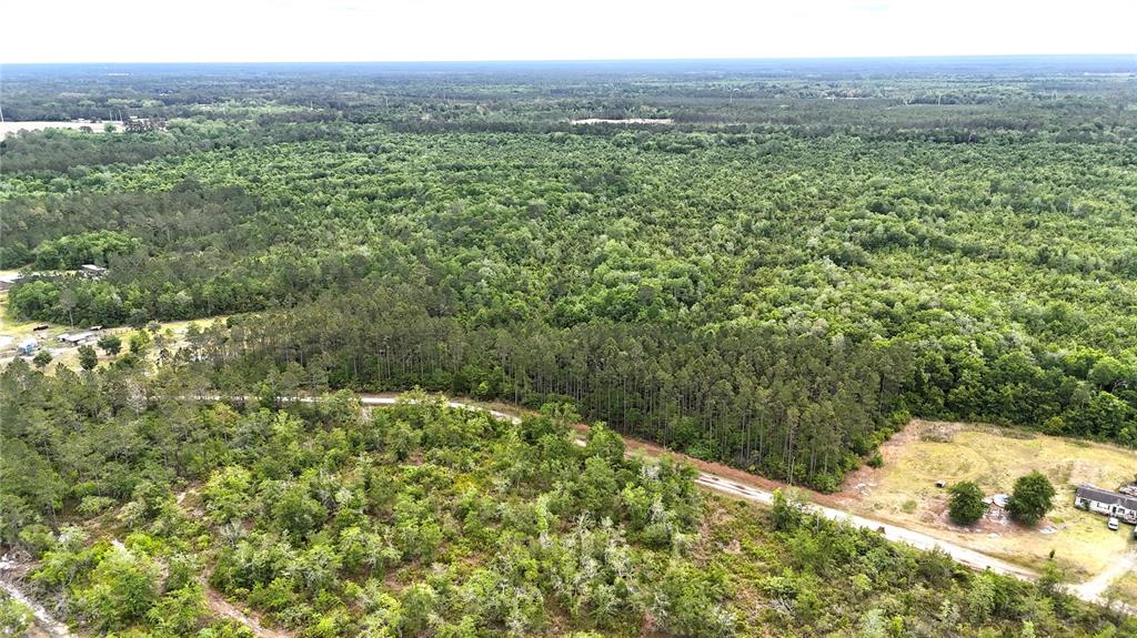 Sweet Gum Road Glen St. Mary, FL 32040 - Photo 33 of 44