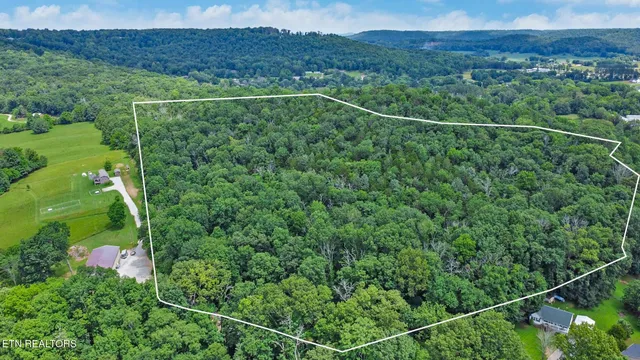 a view of a lush green forest with a house